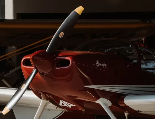 Morbi Quis Commodo Aenean Odipiscing